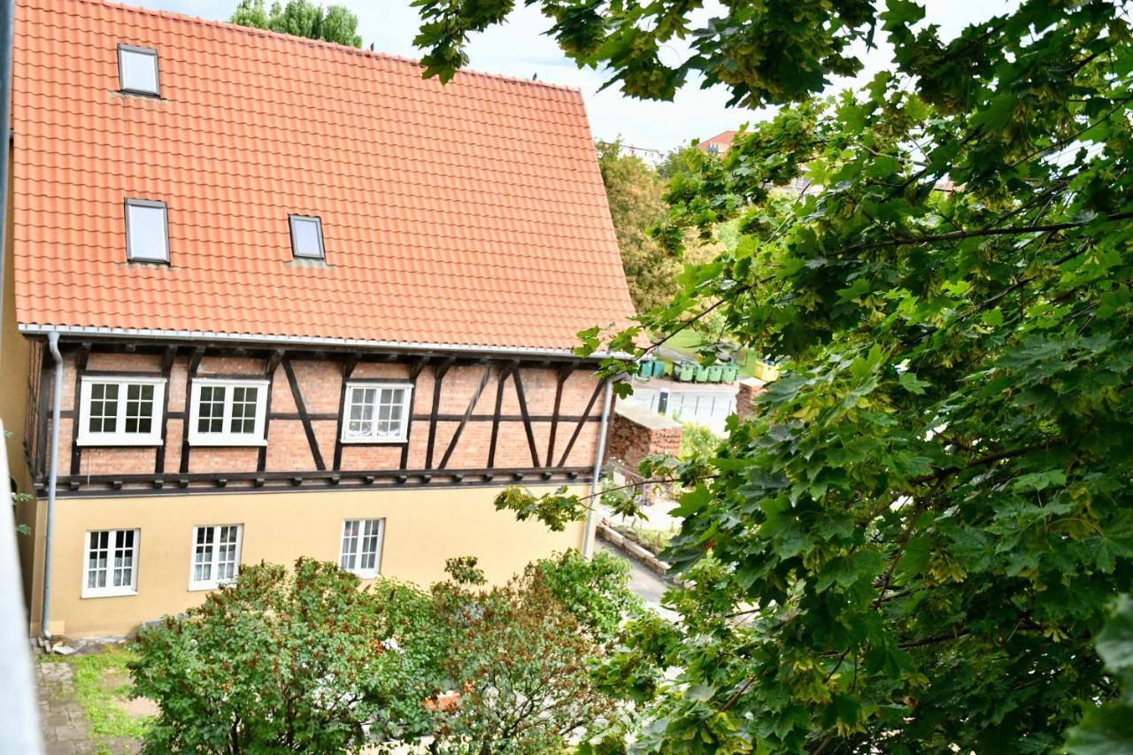Kondor Shekspir Gdansk